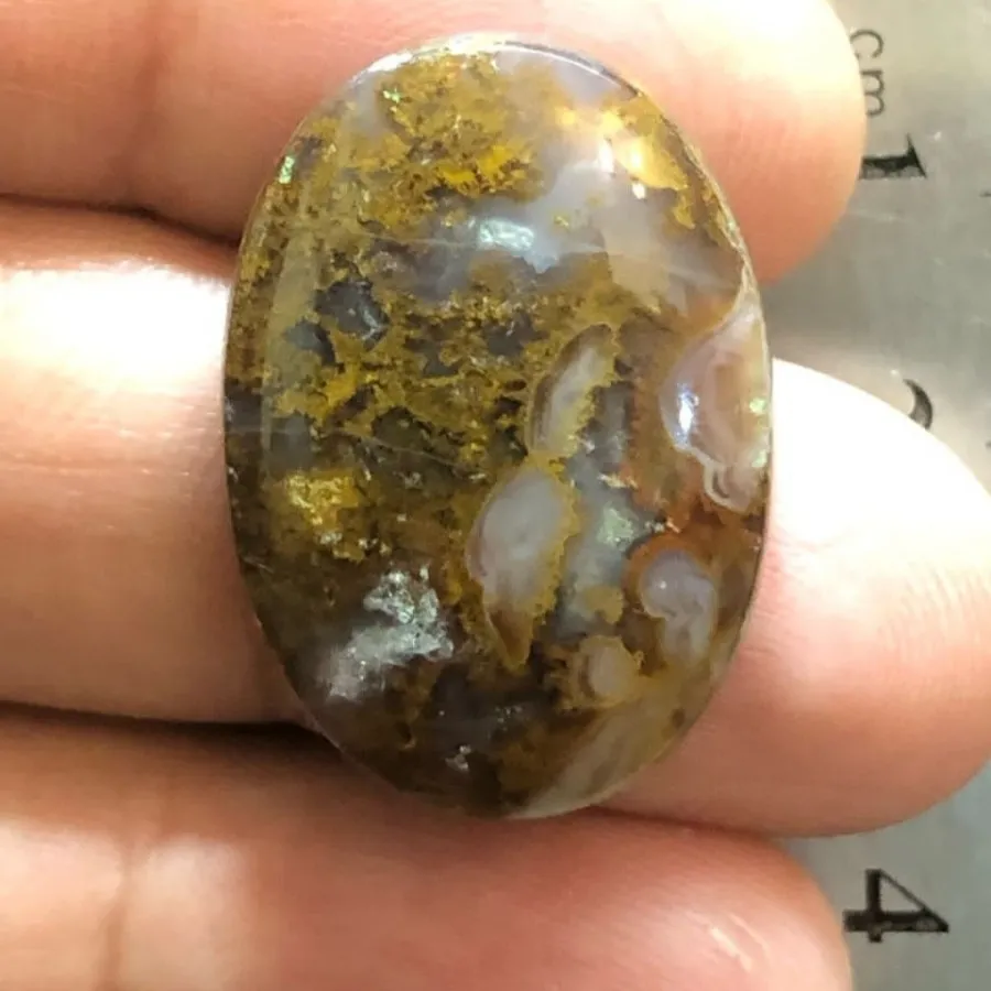 سنگ شجر و انگشتر