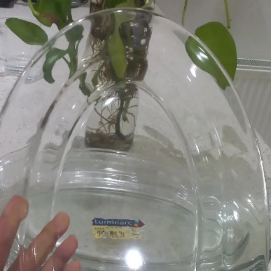 سرویس غذاخوری پیرکس