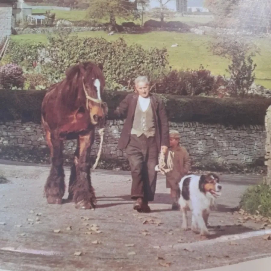 سینی فلزی قدیمی