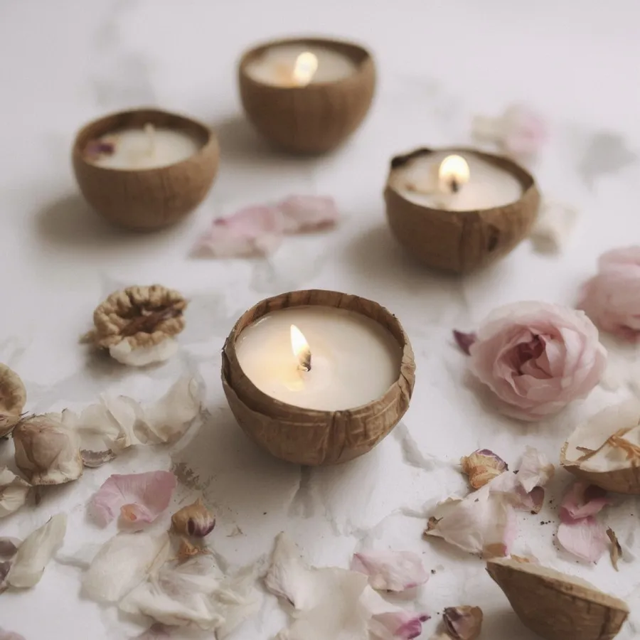 شمع وارمر اورگانیک 30تومن