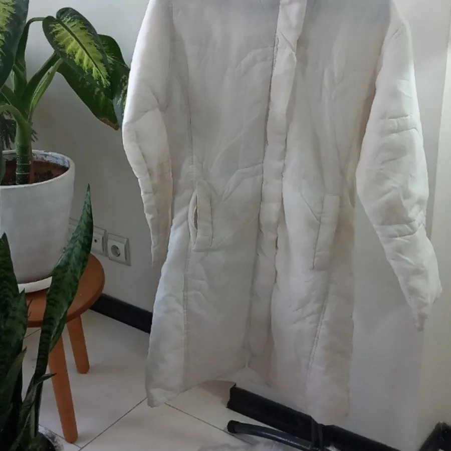 کابشن پالتو