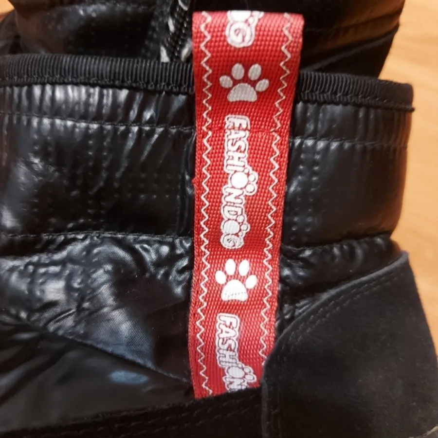 بوت فشن داگ