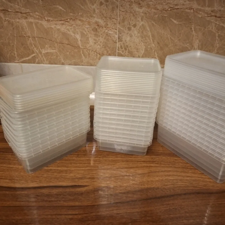 ظروف فریزری