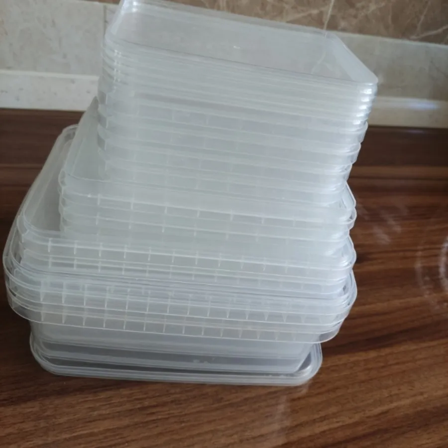 ظروف فریزری