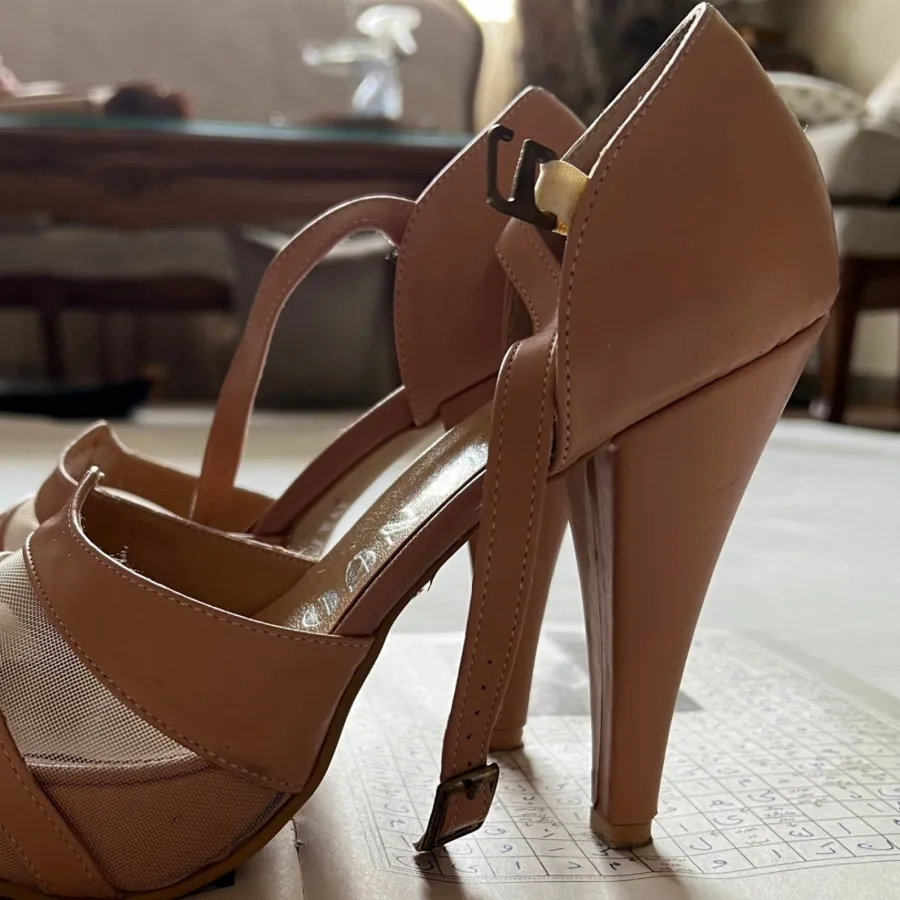 کفش مجلسی لژدار