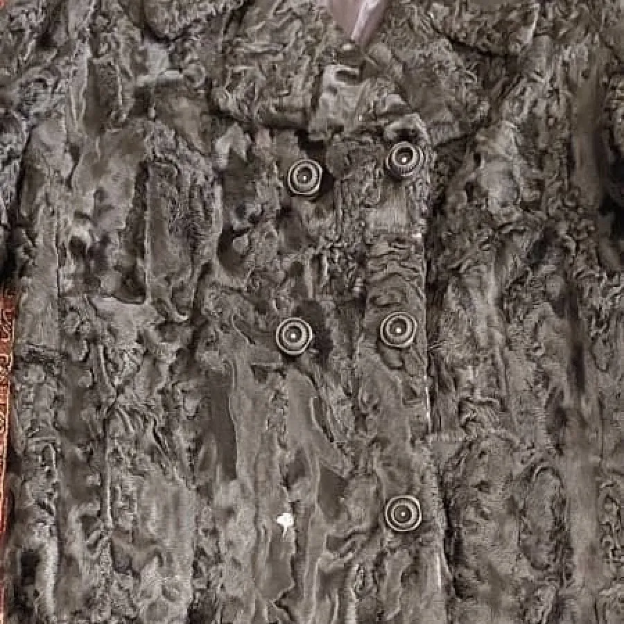 پالتو پوست اصل