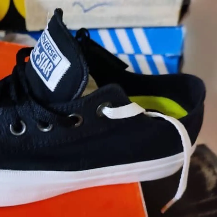 آلستار اصل ویتنام