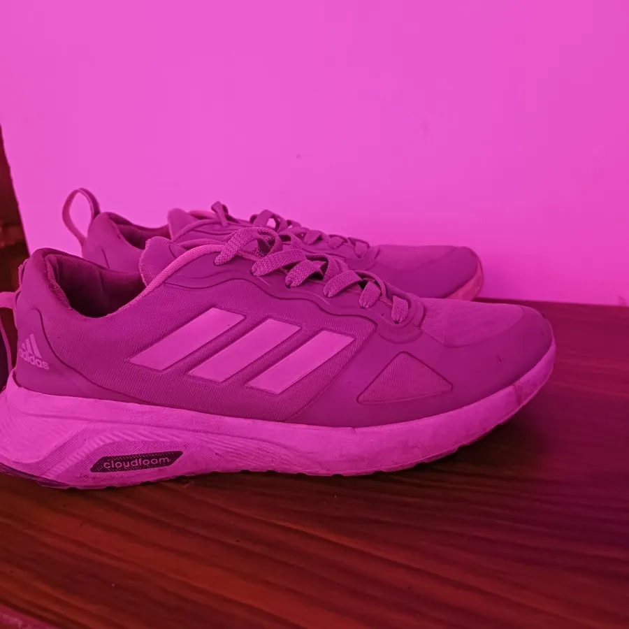 کتونی نایکی اورجینال