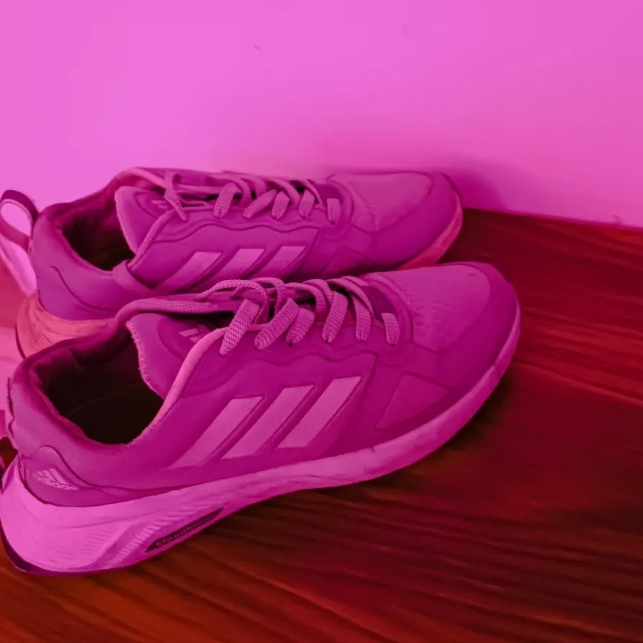 کتونی نایکی اورجینال