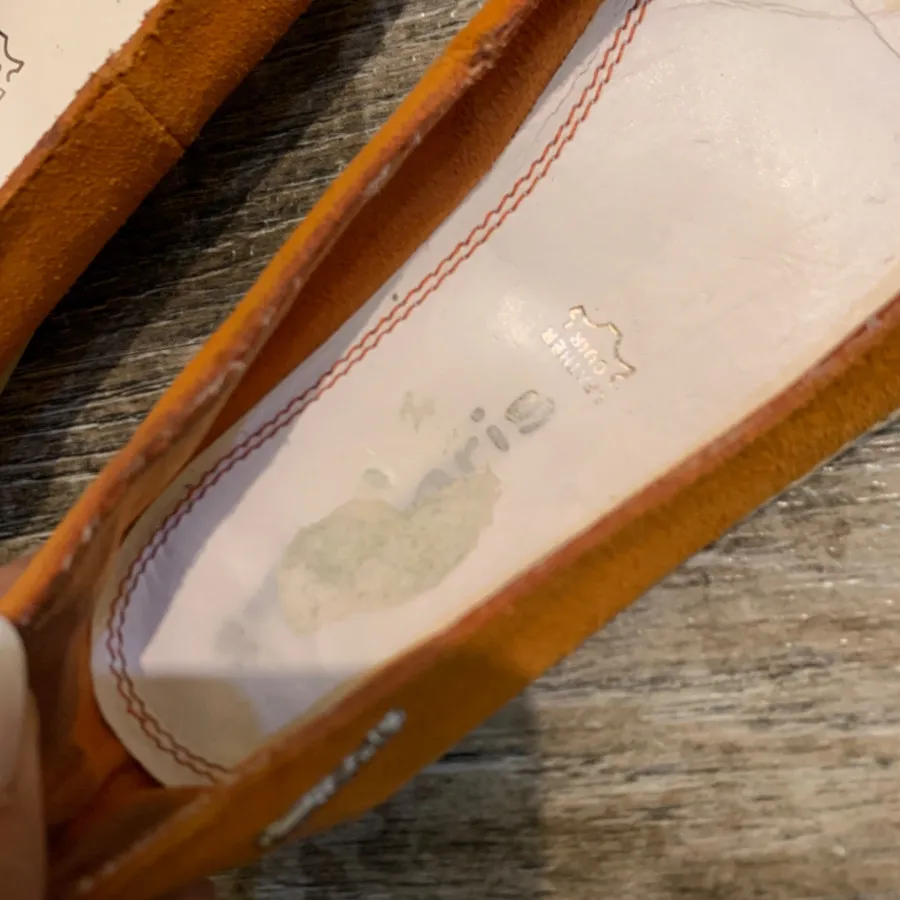 کالج تاماریس