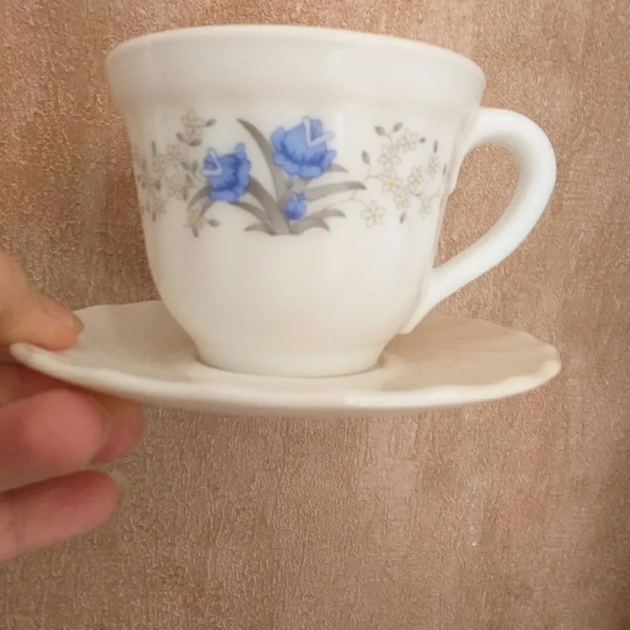 زیر فنجونی آرکوپال فرانسه