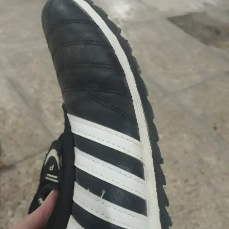 کفش پیاده روی