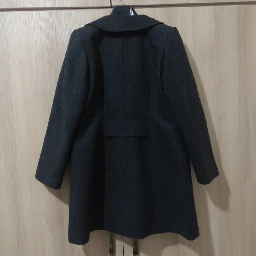 پالتو نوک مدادی