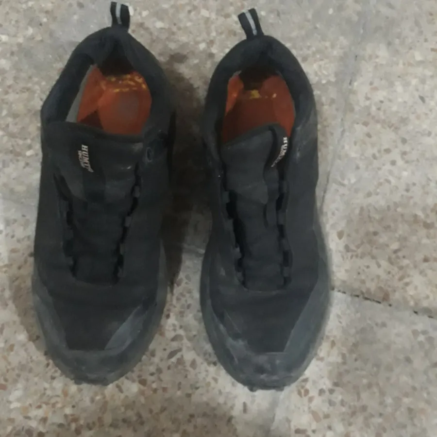 کفش اسپرت همتو