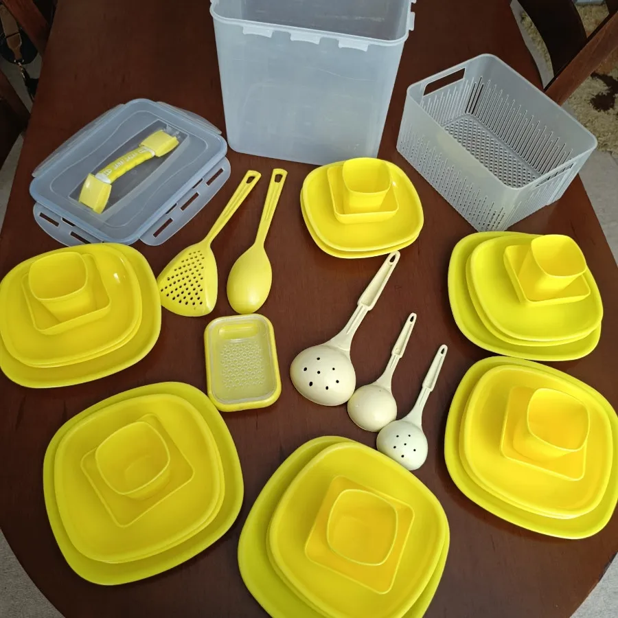 ظروف مسافرتی