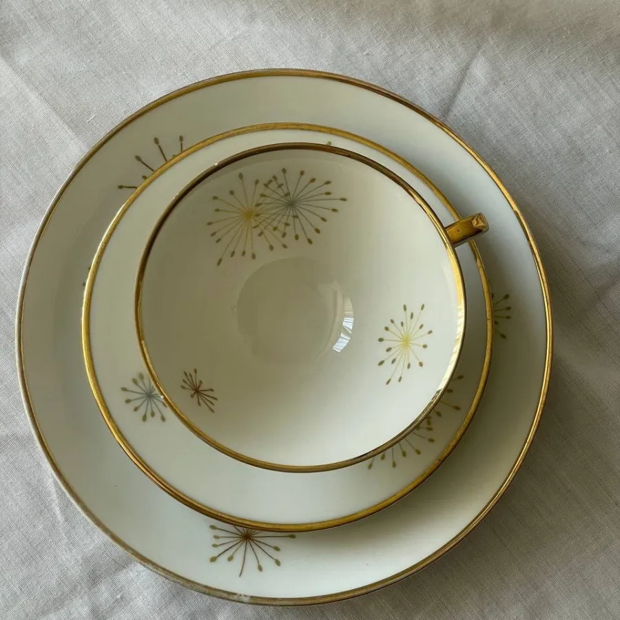 فنجان نعلبکی آلمانی