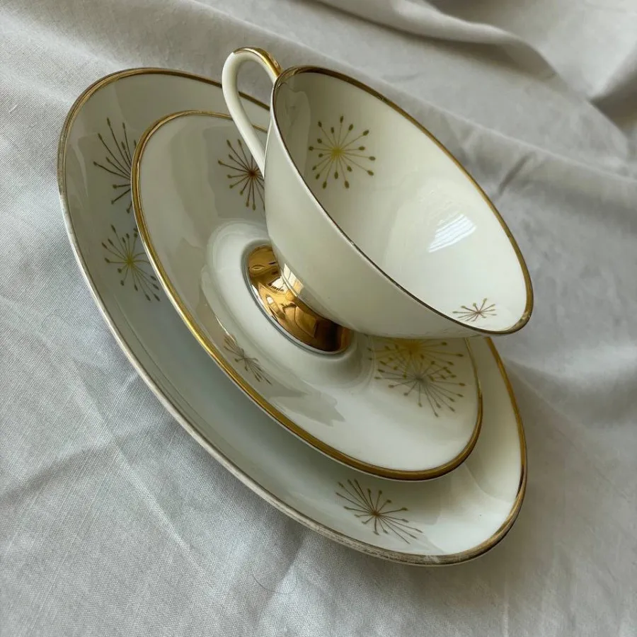 فنجان نعلبکی آلمانی