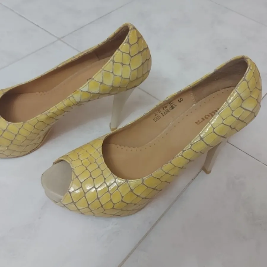 کفش کرم مجلسی