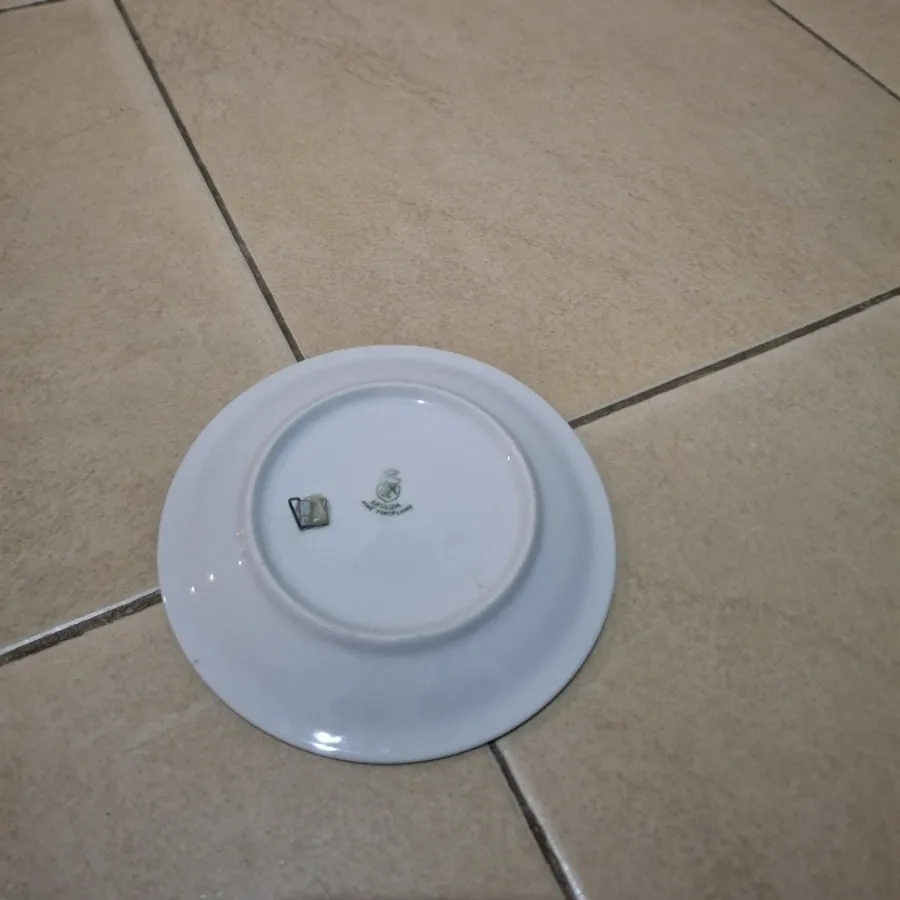 بشقاب دیواری گیره دار