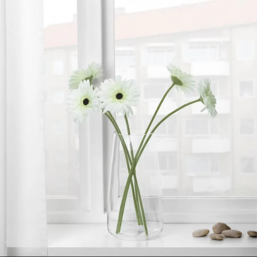 گل ژربرا ایکیا