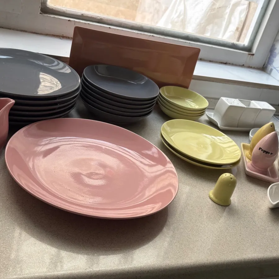 سرویس غذا خوری رنگی