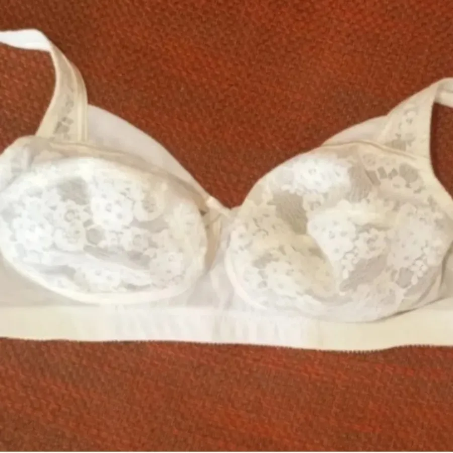 سوتین دانتل