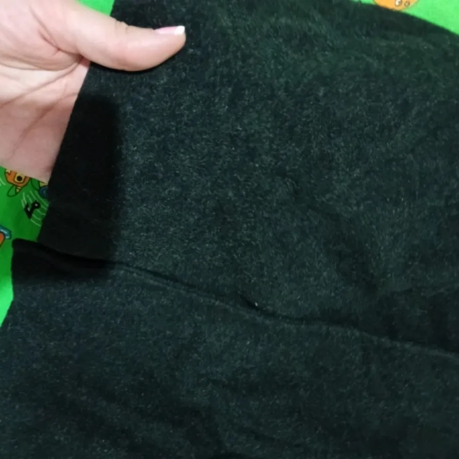 پالتوزنانه