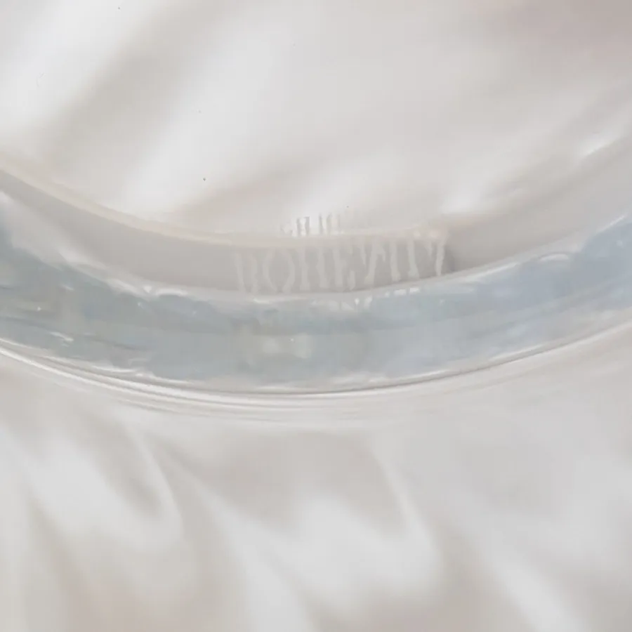 میوه خوری بوهمیا