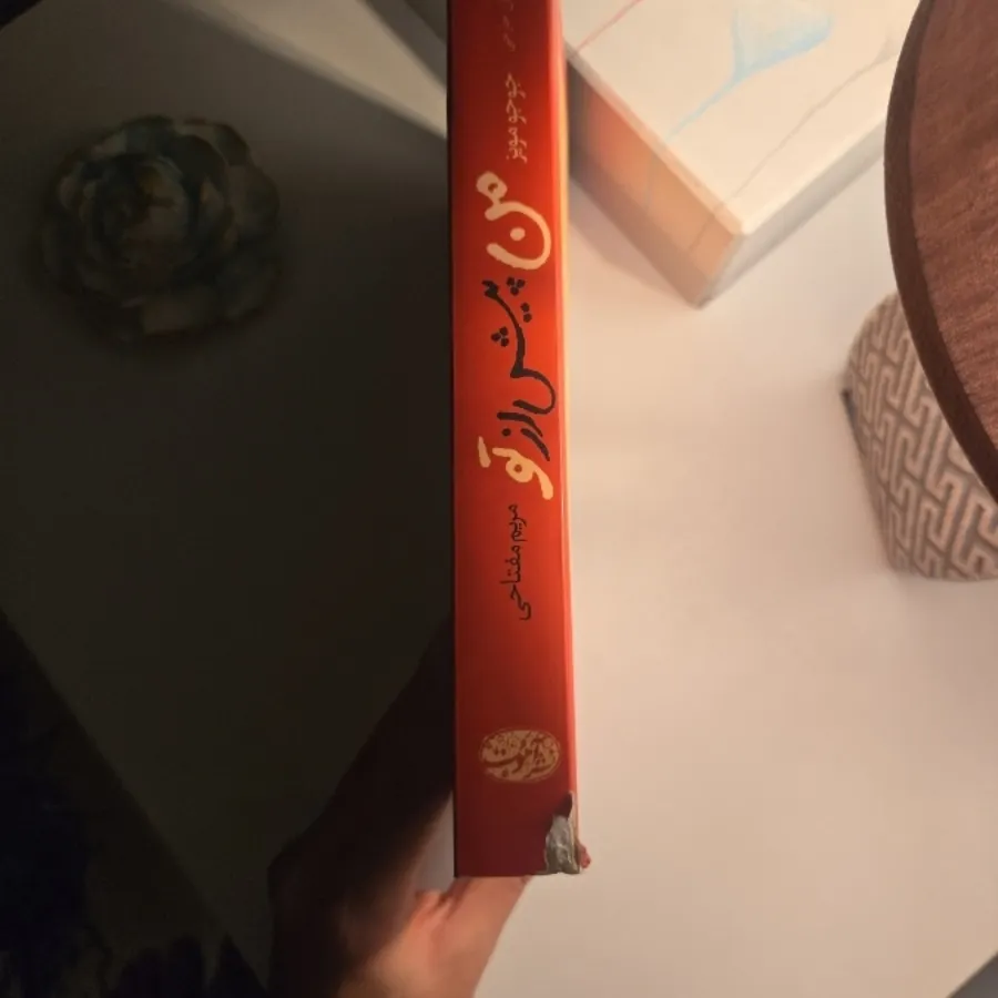 رمان من پیش از تو