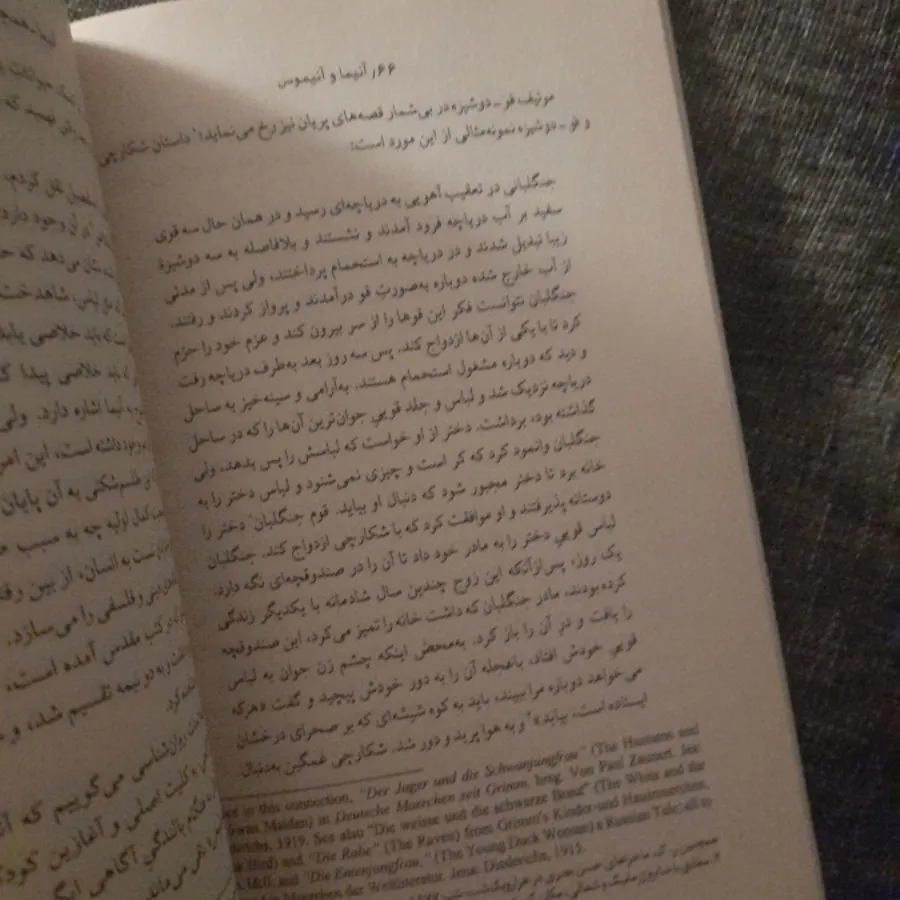 آنیما و آنیموس