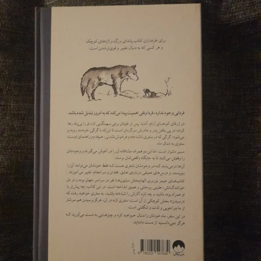 به دنبال ماه