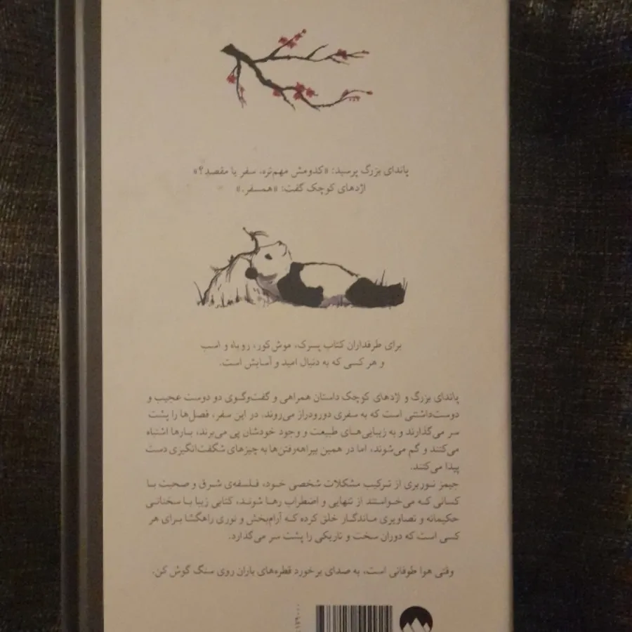 پاندای بزرگ و اژدهای کوچک