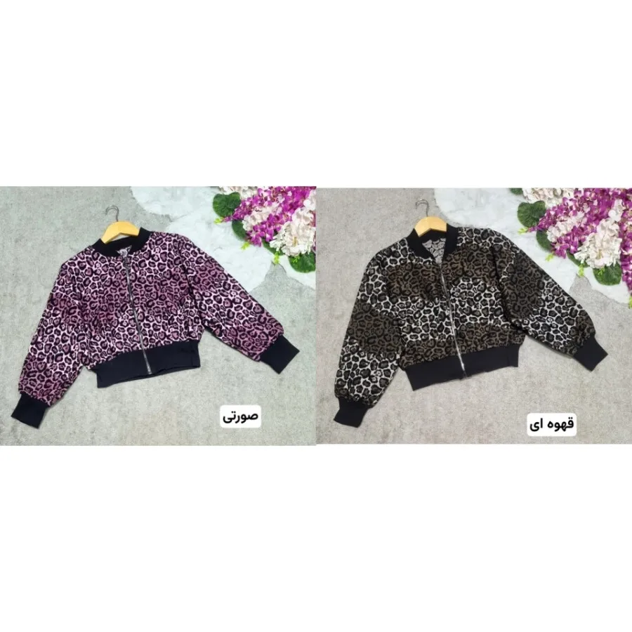 بامبر پلنگی