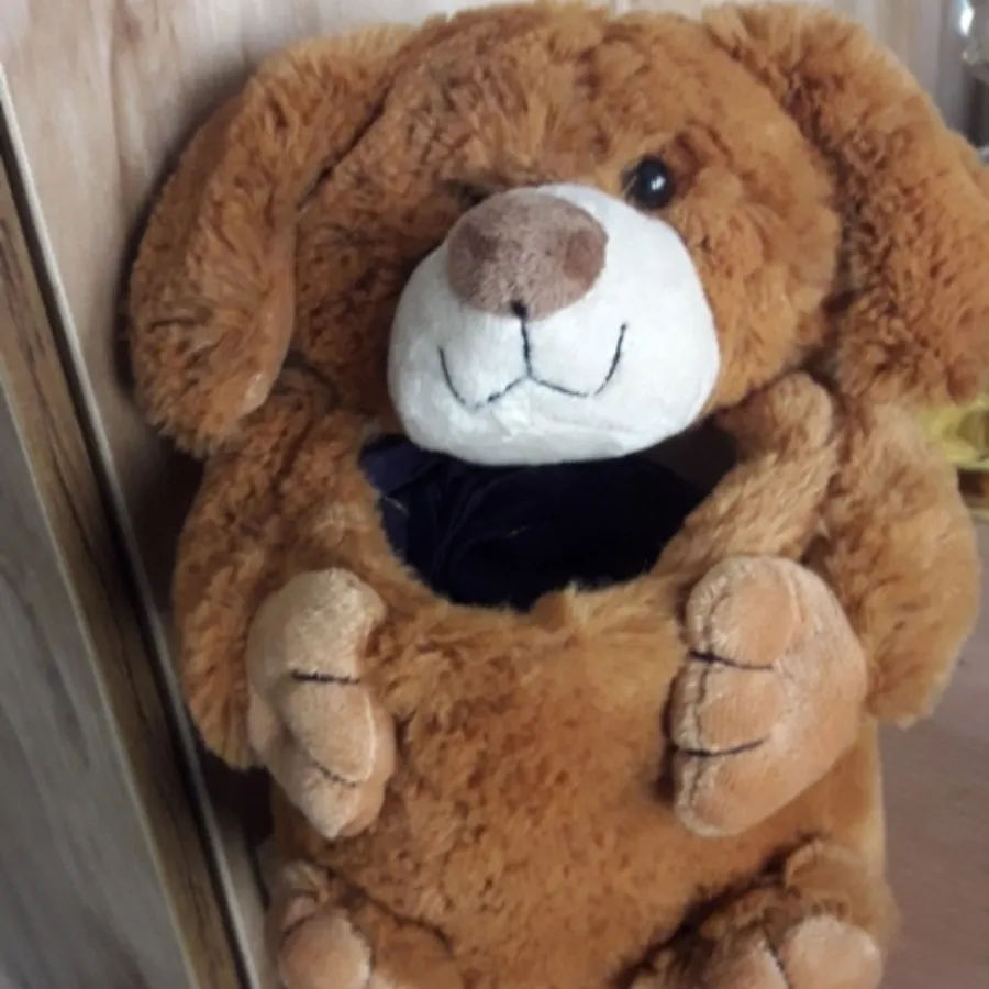 ارگانایزر پولیشی