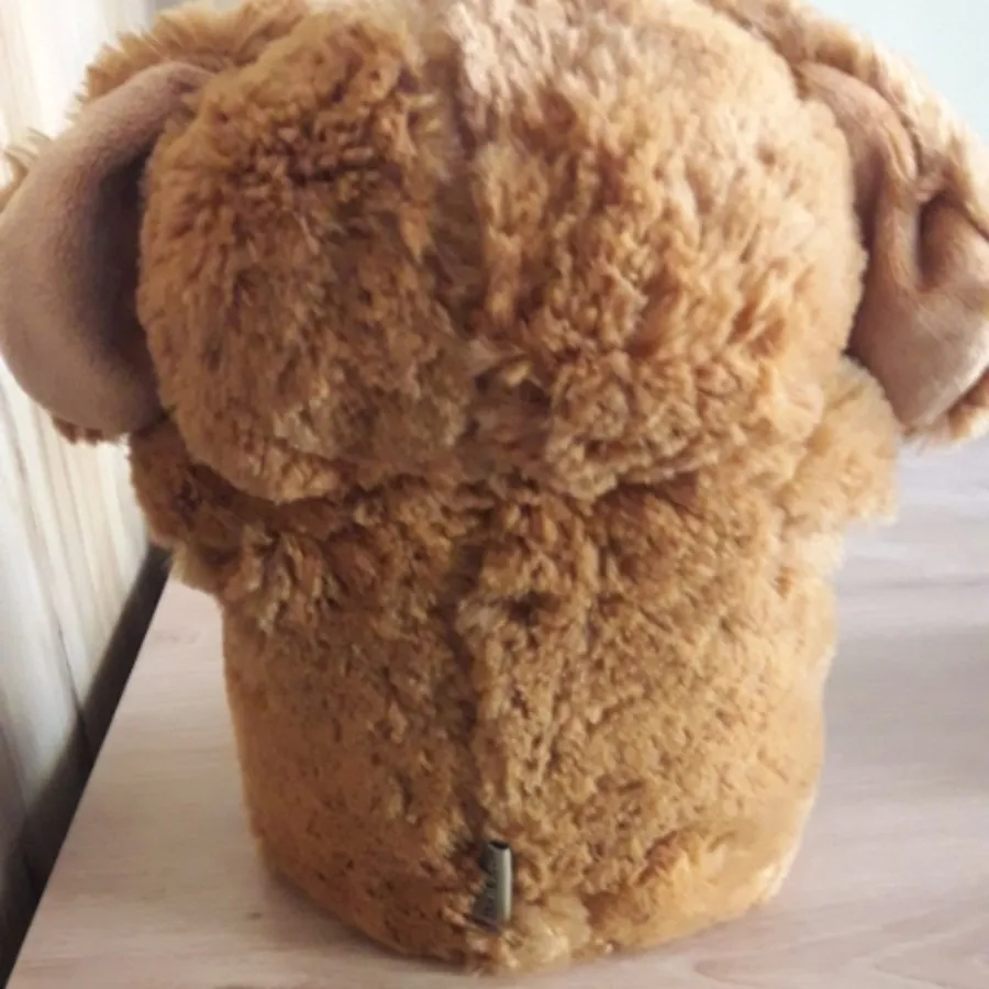 ارگانایزر پولیشی