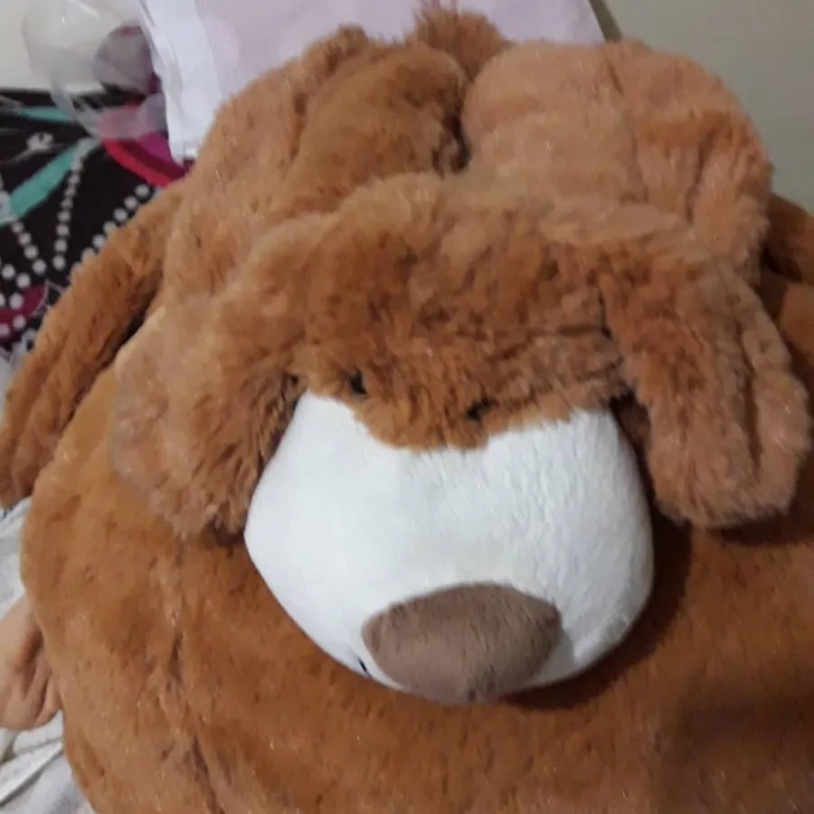 جا دستمالی پولیشی