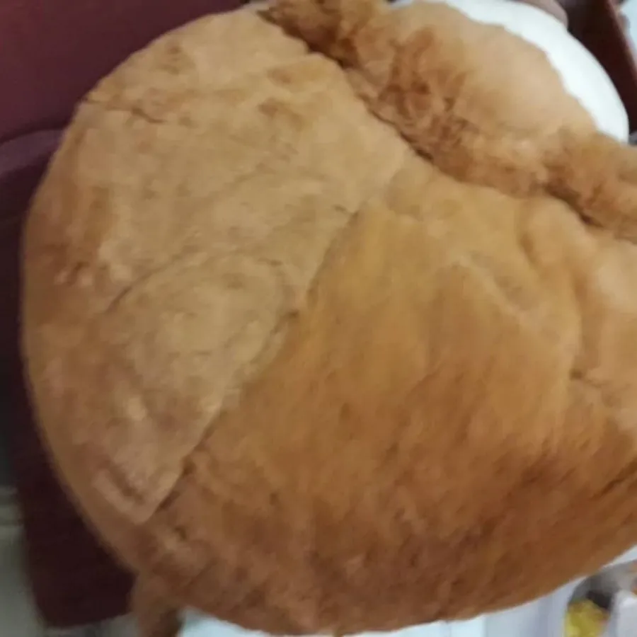 پاف کودک پولیشی