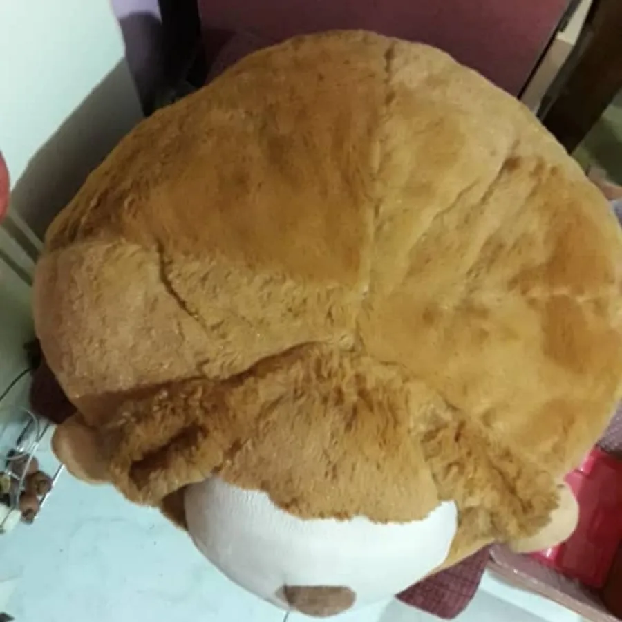 پاف کودک پولیشی