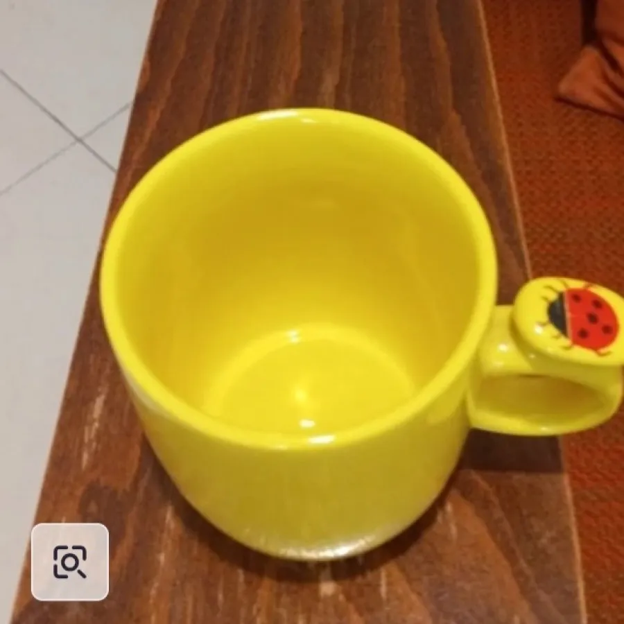 ماگ طرح کفشدوزک