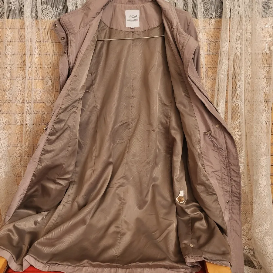 بارونی برند کروکودیل