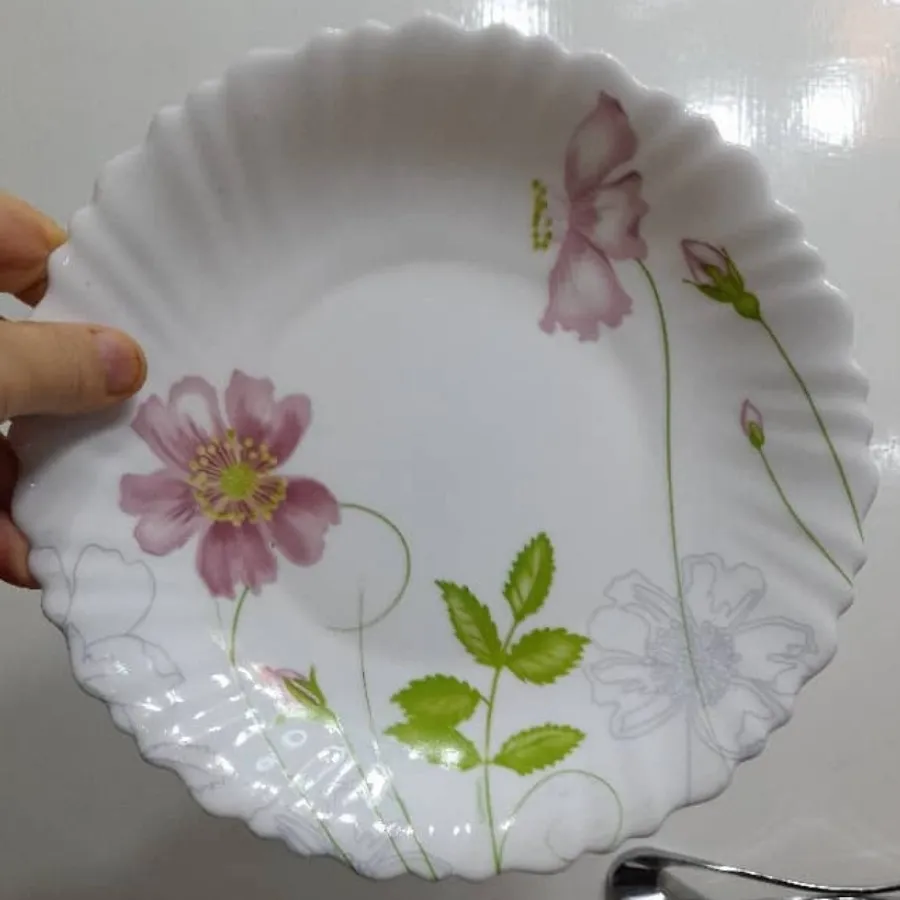 پلوخوری آرکوپال تک