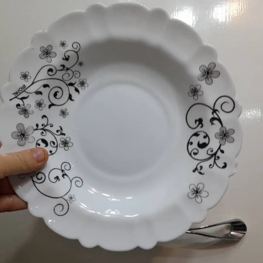 پلوخوری آرکوپال تک