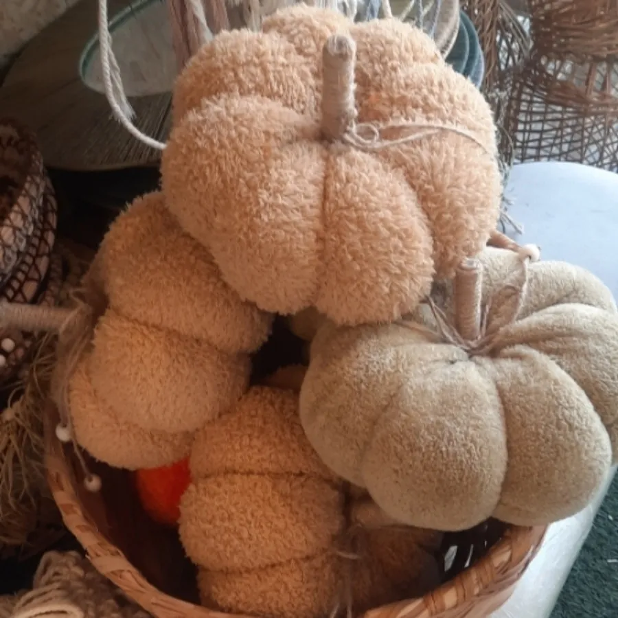 کدوهای پولیشی