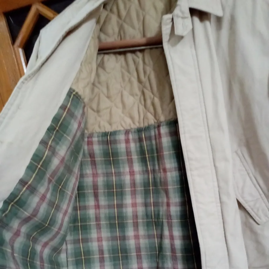 پالتو نوجوان