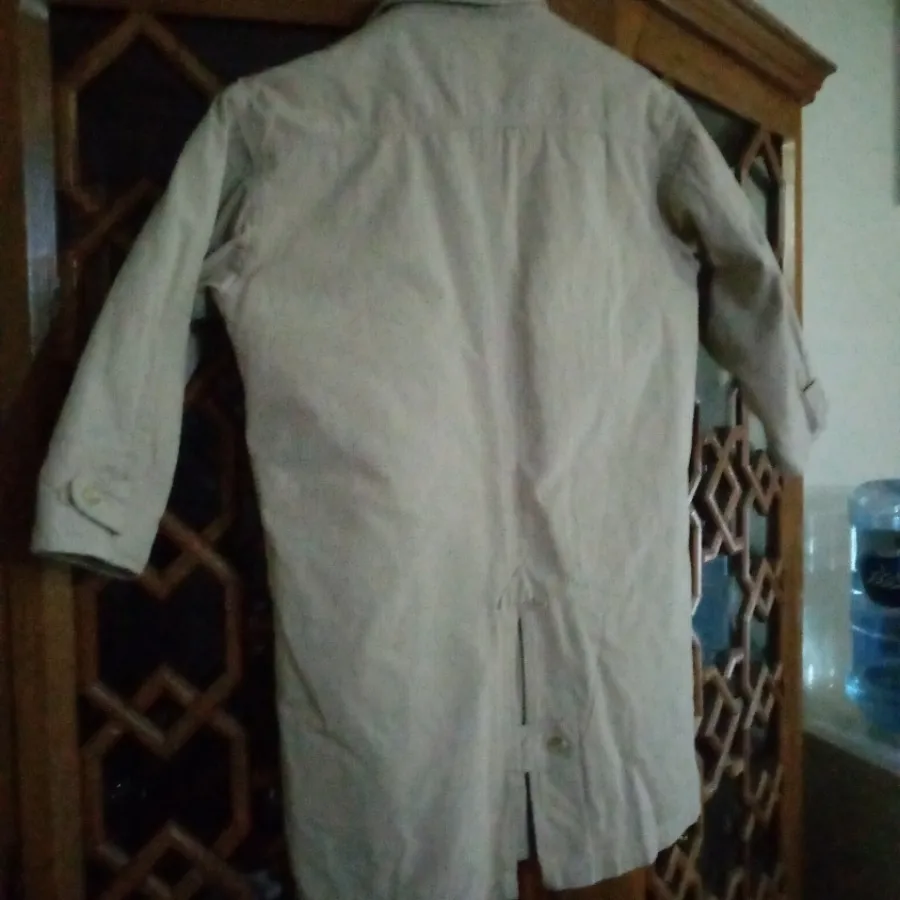 پالتو نوجوان