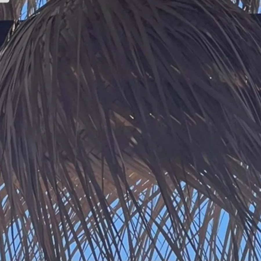 انواع لوستر حصیری