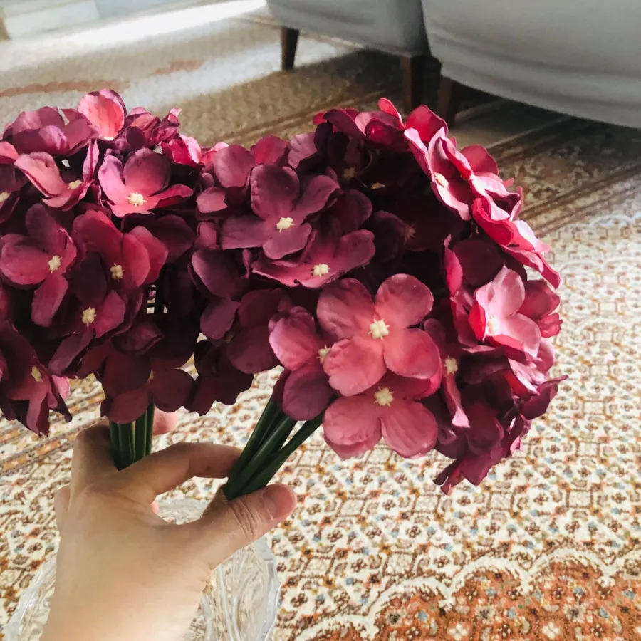 دوعدد گل هورتانسیا