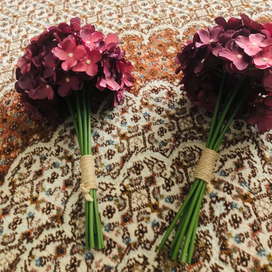 دوعدد گل هورتانسیا