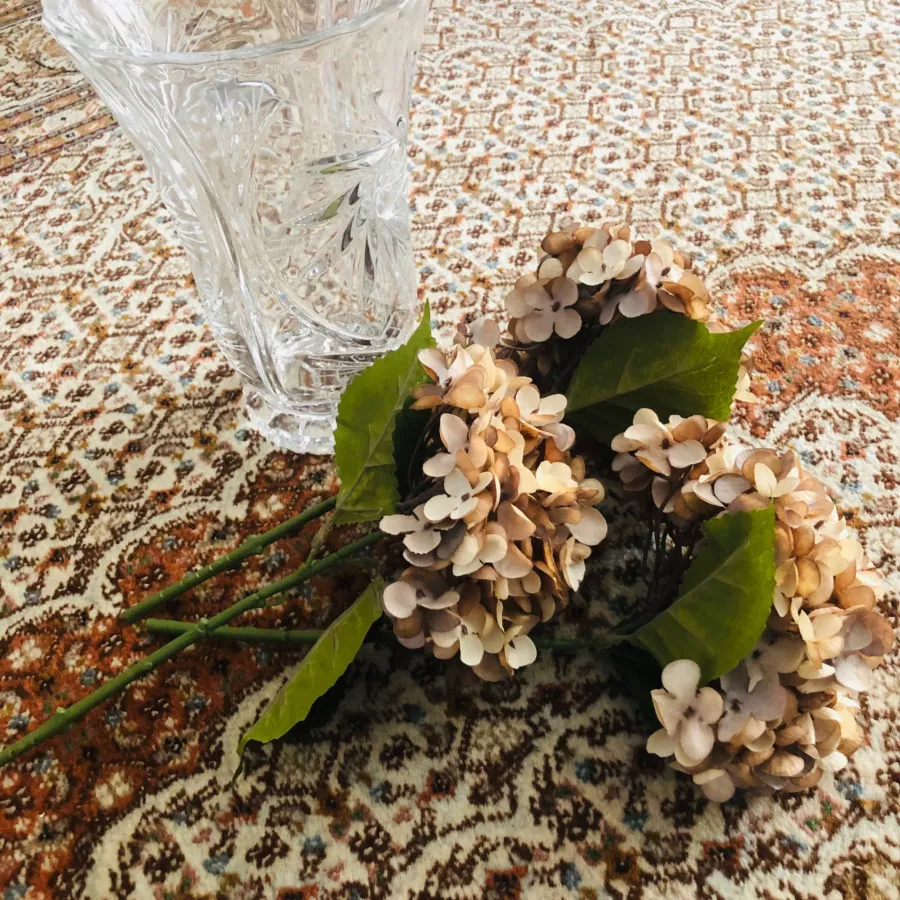 گل هورتانسیا