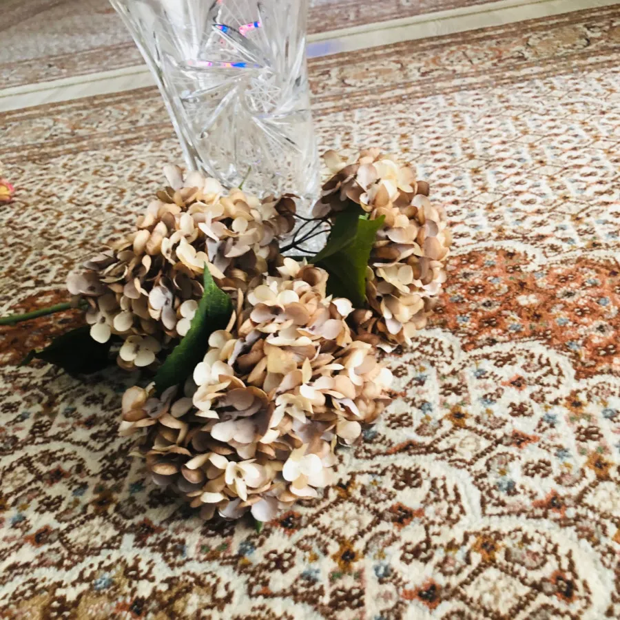 گل هورتانسیا